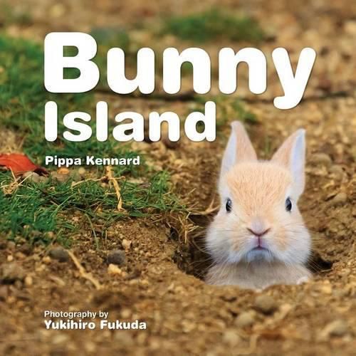 Cover image for Bunny Island