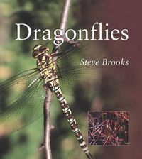 Cover image for Dragonflies