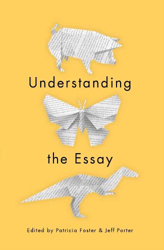 Cover image for Understanding the Essay