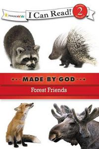 Cover image for Forest Friends: Level 2