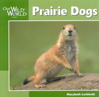 Cover image for Prairie Dogs