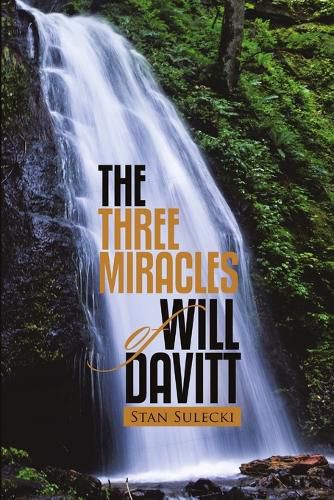 Cover image for The Three Miracles of Will Davitt