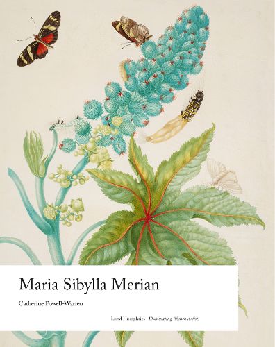 Cover image for Maria Sibylla Merian
