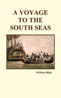 Cover image for A Voyage to the South Seas (Hardback)