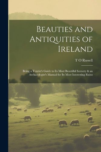 Cover image for Beauties and Antiquities of Ireland