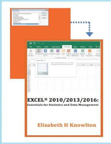 Cover image for Excel 2010/2013/2016: Essentials for Statistics and Data Management