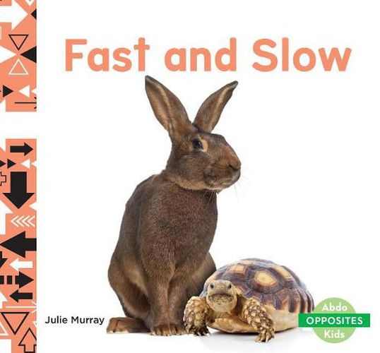 Cover image for Fast and Slow