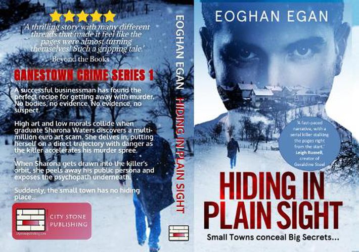 Cover image for Hiding in Plain Sight