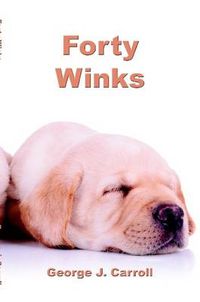 Cover image for Forty Winks