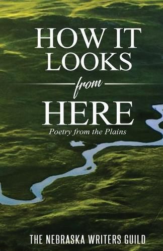 Cover image for How It Looks from Here: Poetry from the Plains