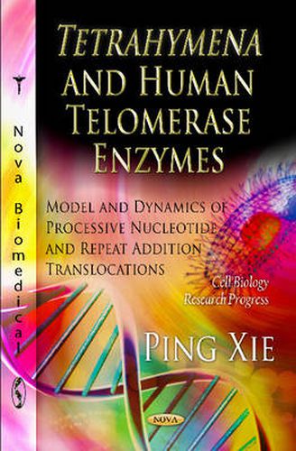 Tetrahymena & Human Telomerase Enzymes: Model & Dynamics of Processive Nucleotide & Repeat Addition Translocations