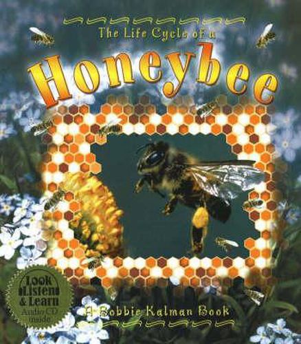 Cover image for The Life Cycle of a Honeybee