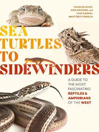 Cover image for Sea Turtles to Sidewinders a Guide to the Most Fascinating Reptiles and Amphibians of the West