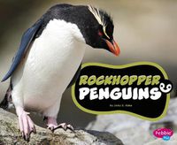 Cover image for Rockhopper Penguins