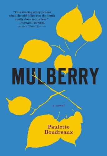 Cover image for Mulberry: A Novel