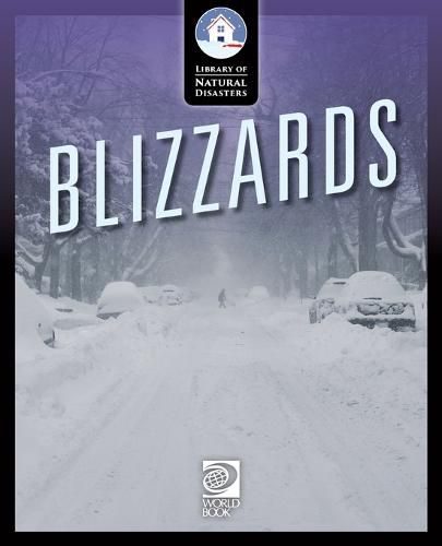 Cover image for Blizzards