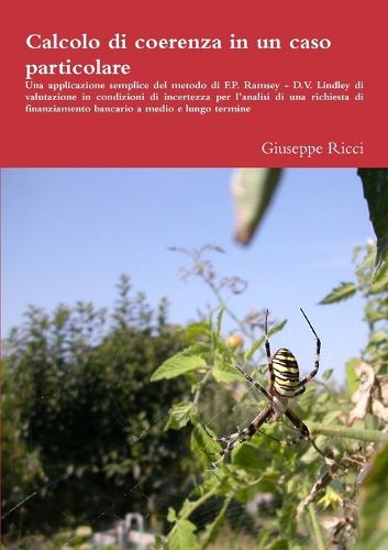 Cover image for Calcolo di coerenza in un caso particolare