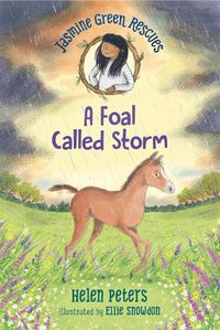 Cover image for Jasmine Green Rescues: A Foal Called Storm