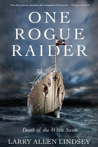 Cover image for One Rogue Raider