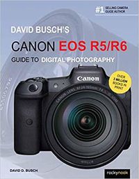 Cover image for David Busch's Canon EOS R5/R6 Guide to Digital Photography