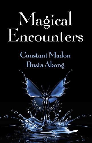 Cover image for Magical Encounters