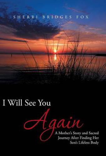 Cover image for I Will See You Again: A Mother's Story and Sacred Journey After Finding Her Son's Lifeless Body