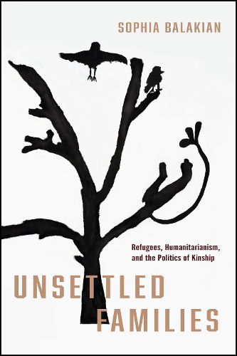 Cover image for Unsettled Families