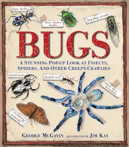 Cover image for Bugs: A Stunning Pop-up Look at Insects, Spiders, and Other Creepy-Crawlies