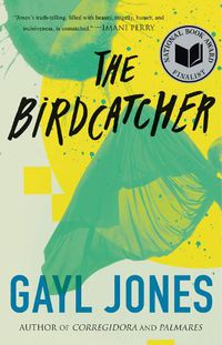Cover image for The Birdcatcher