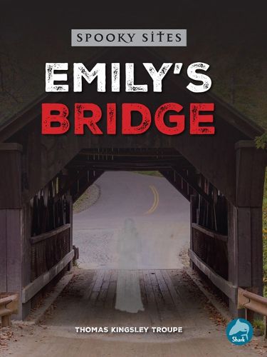 Emily's Bridge