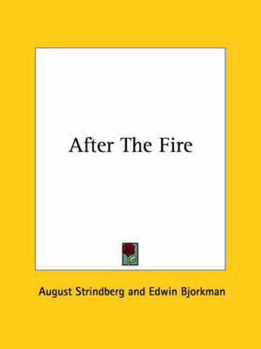 Cover image for After the Fire