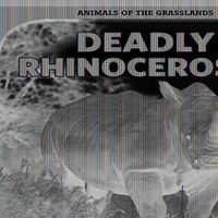 Cover image for Deadly Rhinoceroses