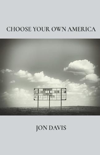 Cover image for Choose Your Own America