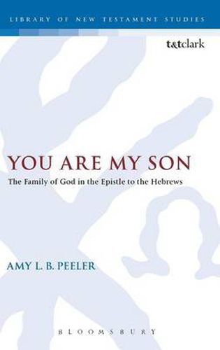 Cover image for You Are My Son: The Family of God in the Epistle to the Hebrews