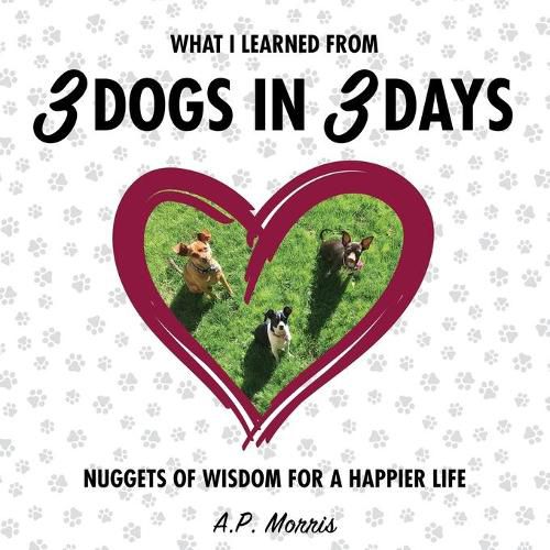 Cover image for What I Learned from 3 Dogs in 3 Days: Nuggets of Wisdom for a Happier Life