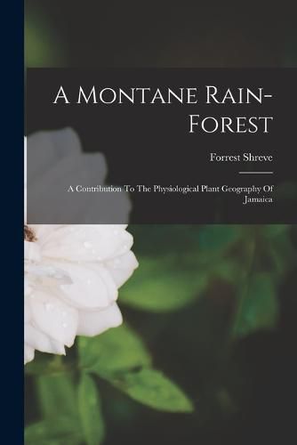 Cover image for A Montane Rain-forest