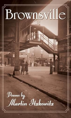 Cover image for Brownsville