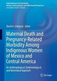 Cover image for Maternal Death and Pregnancy-Related Morbidity Among Indigenous Women of Mexico and Central America: An Anthropological, Epidemiological, and Biomedical Approach