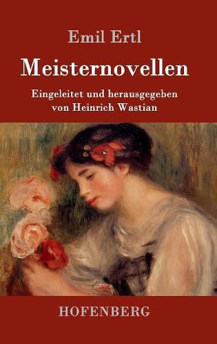 Cover image for Meisternovellen