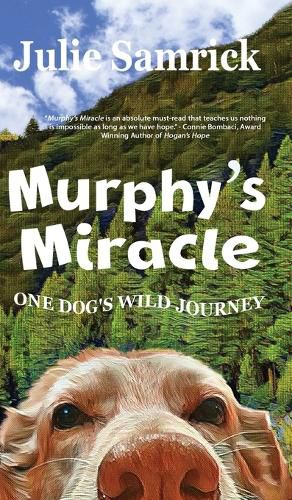 Cover image for Murphy's Miracle