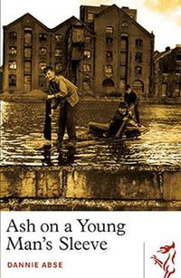 Cover image for Ash on a Young Man's Sleeve