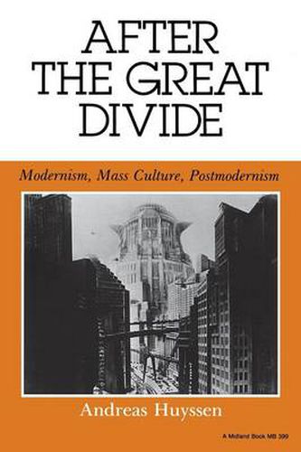 Cover image for After the Great Divide: Modernism, Mass Culture, Postmodernism