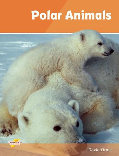 Polar Animals: Set 4