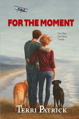 Cover image for For The Moment