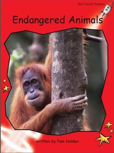 Cover image for Red Rocket Readers: Early Level 1 Non-Fiction Set C: Endangered Animals (Reading Level 3/F&P Level C)