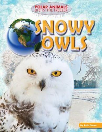 Cover image for Snowy Owls