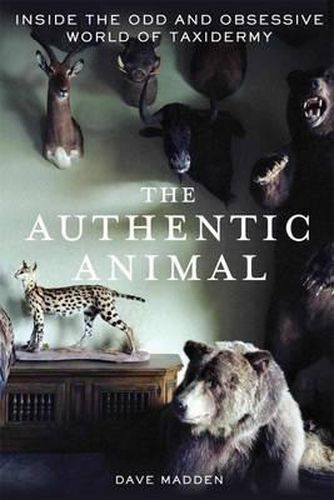 Cover image for The Authentic Animal: Inside the Odd and Obsessive World of Taxidermy