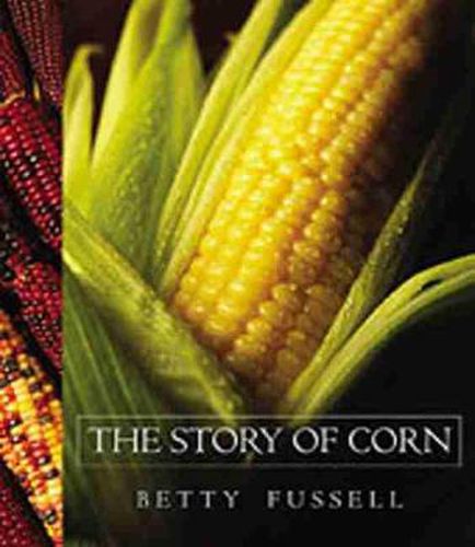 Cover image for Story of Corn