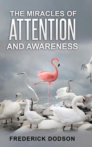 Cover image for The Miracles of Attention and Awareness