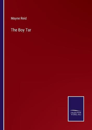 Cover image for The Boy Tar